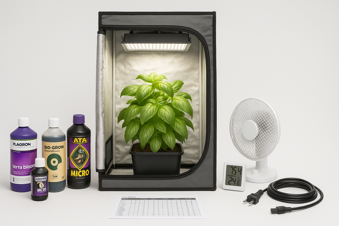 Le migliori grow box per coltivare in casa: formati e materiali