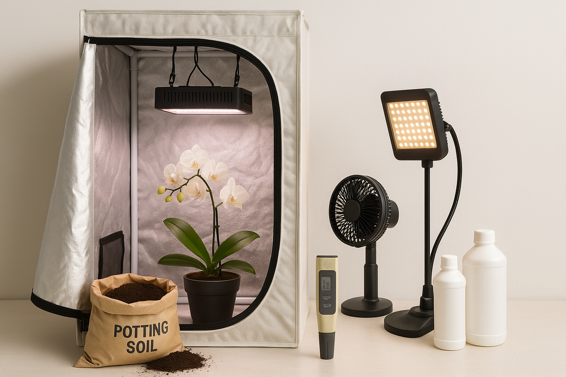 Coltivazione indoor legale: cosa puoi fare (e cosa no) in Italia