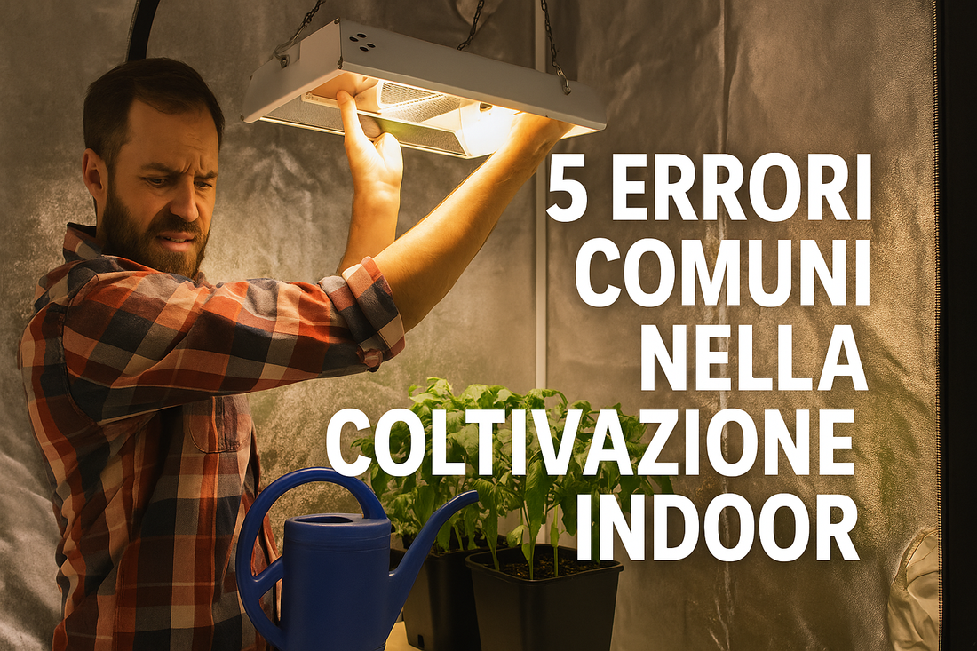5 errori da evitare nella coltivazione indoor