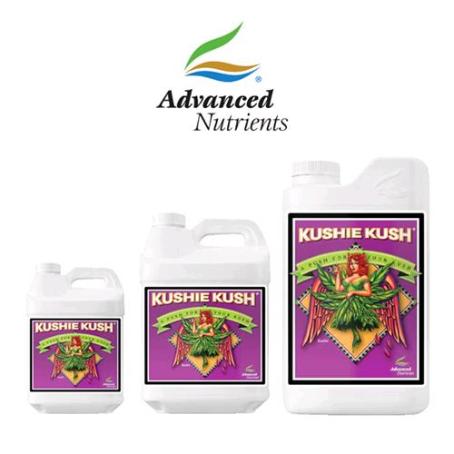 Kushie Kush