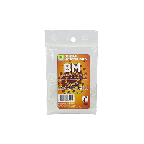 BM
