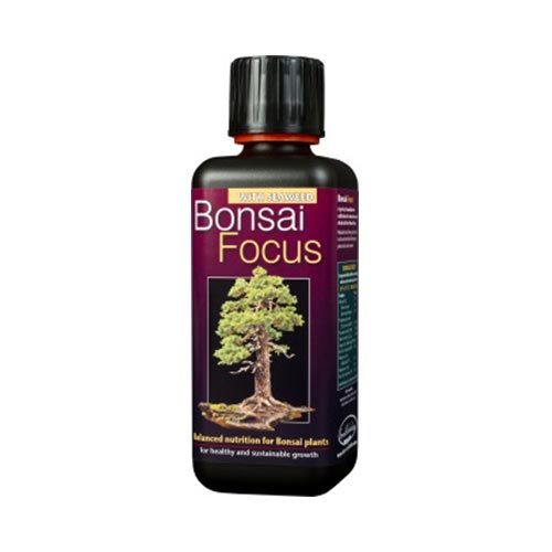 Bonsai Focus