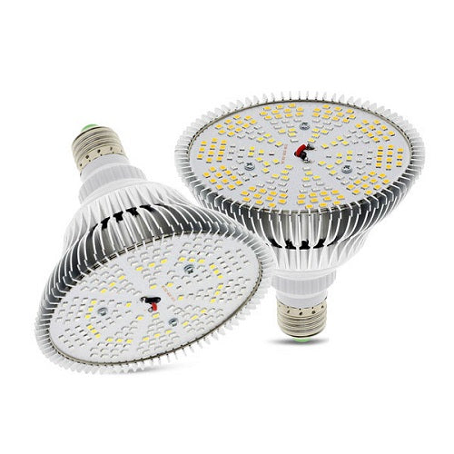 Lampada Par38 15W
