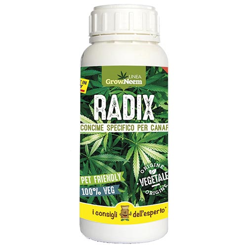 Radix
