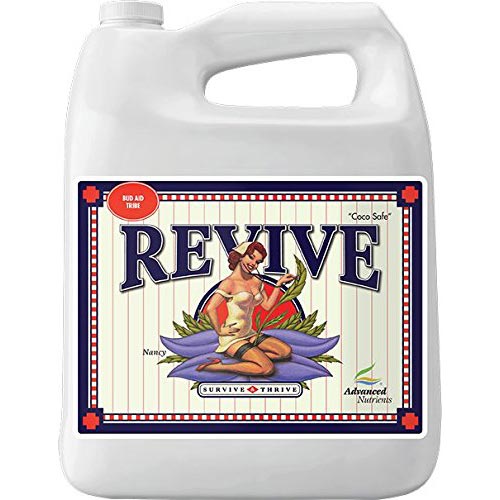 Revive