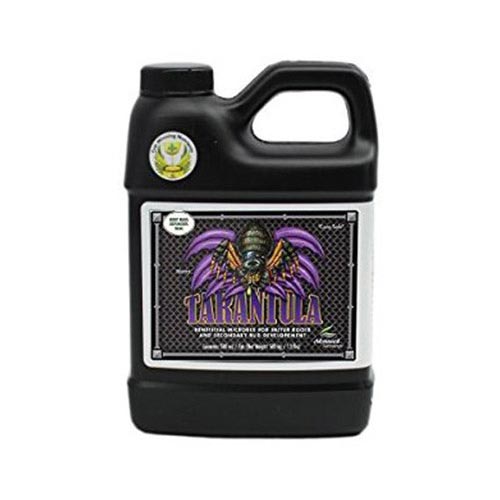 Tarantula