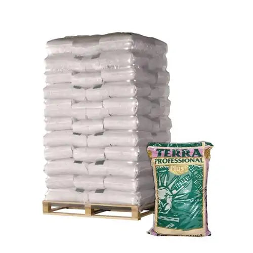 Bancale Canna Terra Professional (100 pezzi)