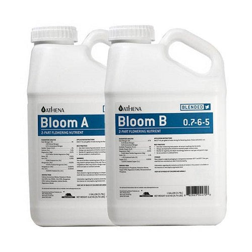 Athena - Bloom A + B - 2x3,78L