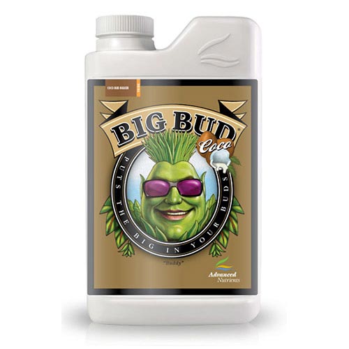 Big Bud Coco -