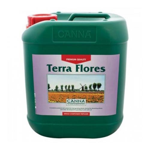 Canna Terra Flores