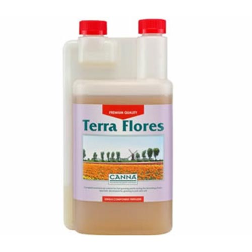 Canna Terra Flores