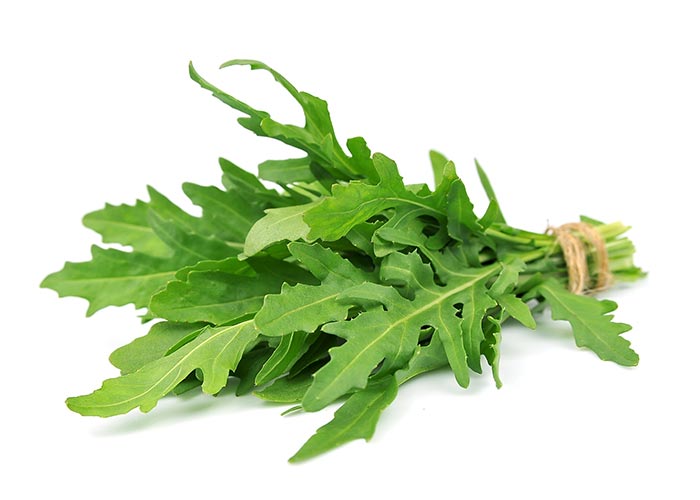 Rucola Selvatica