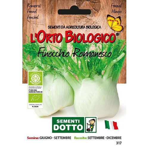 Finocchio Romanesco