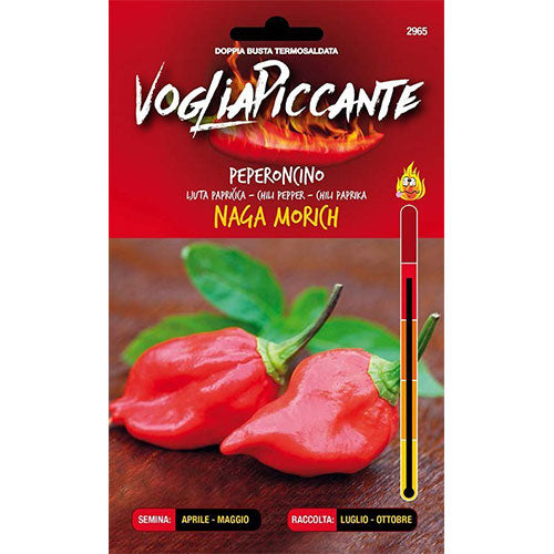 Peperoncino Naga Morich