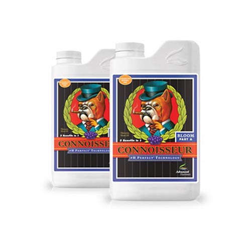 Connoisseur Bloom A+B