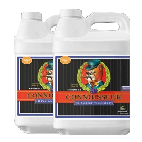 Connoisseur Bloom A+B