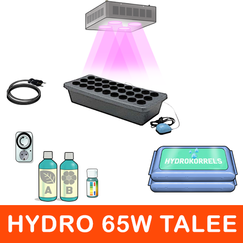 Kit Idroponica Led 65W - Talee E Germogli