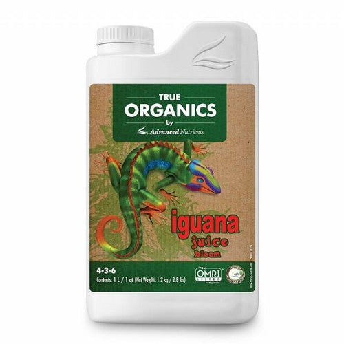 Iguana juice Bloom