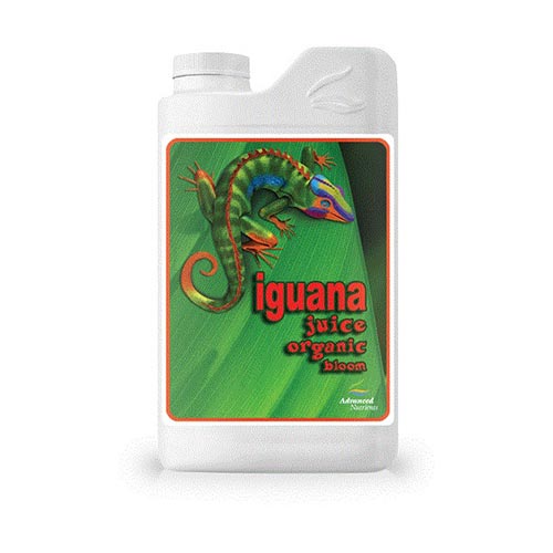 Iguana juice Bloom