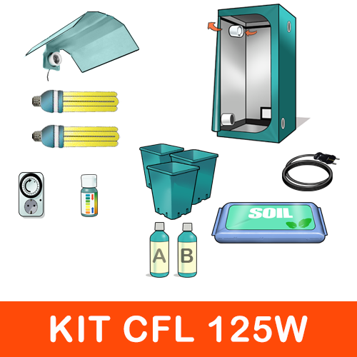 Kit Mini Grow Box CFL Crescita E Fioritura 125W
