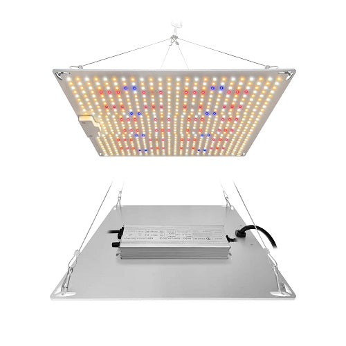 Spectrum Quantum Led