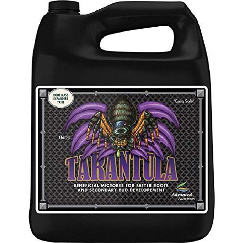 Tarantula